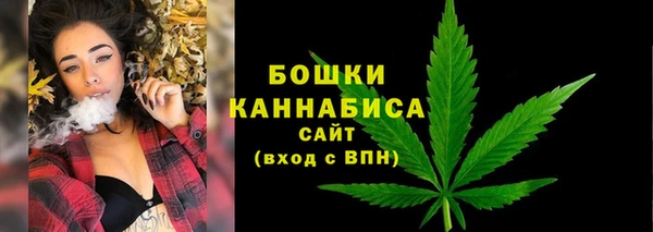 твердый Балахна